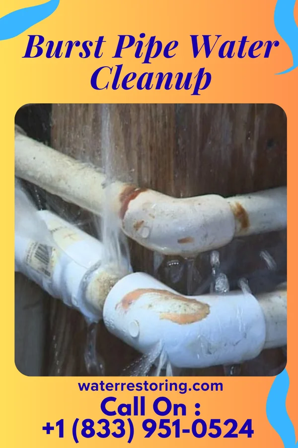 Burst Pipe Water Cleanup in New Lebanon, PA